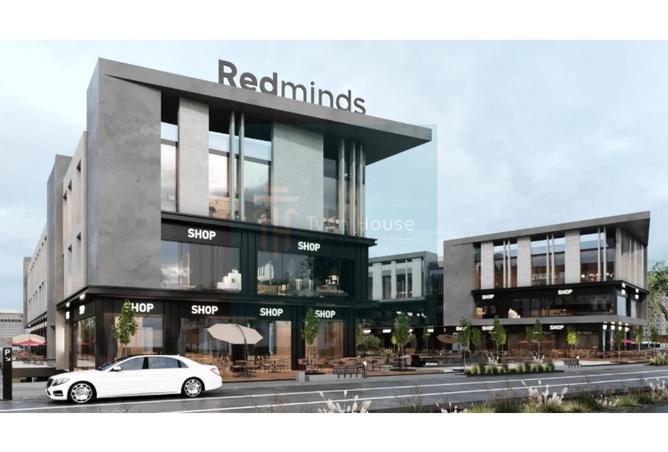 8429442 - Property Image 3