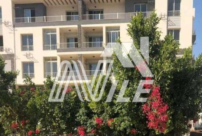 8513337 - صورة العقار 2