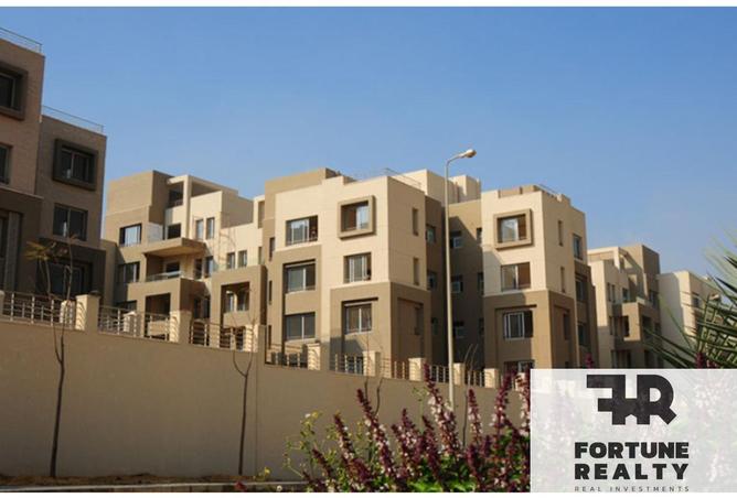 8427592 - Property Image 3