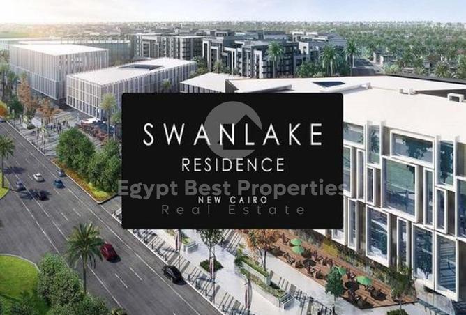 8117551 - Property Image 3