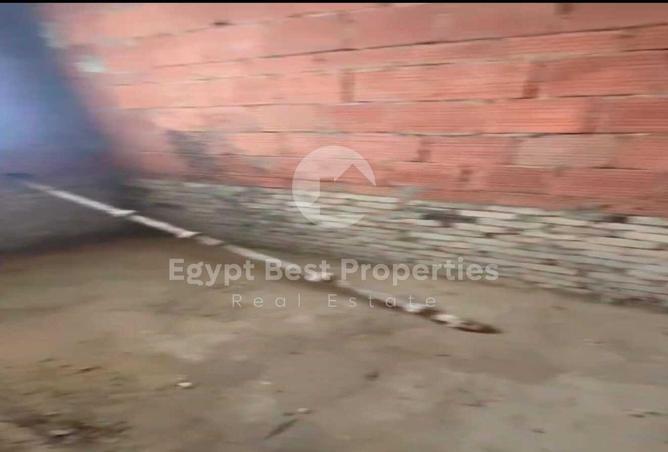 8425183 - Property Image 3