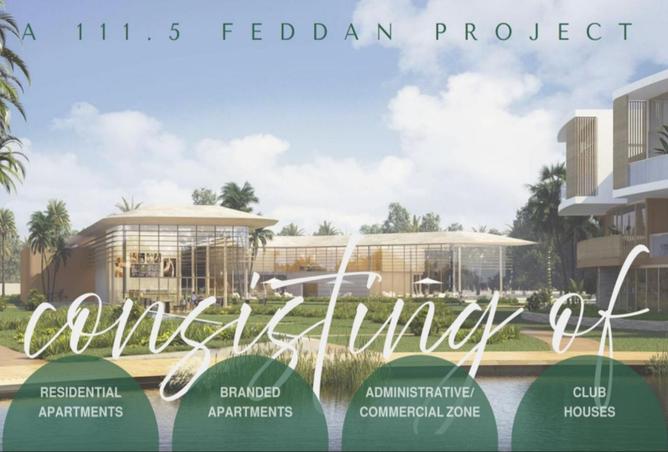 8209616 - Property Image 3