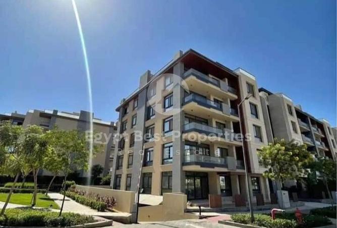 8252633 - Property Image 2