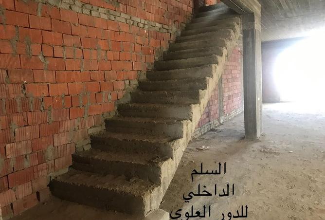 8382195 - Property Image 3