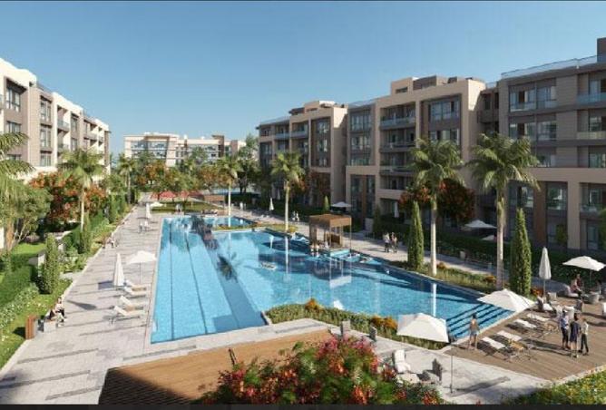 8206617 - Property Image 3