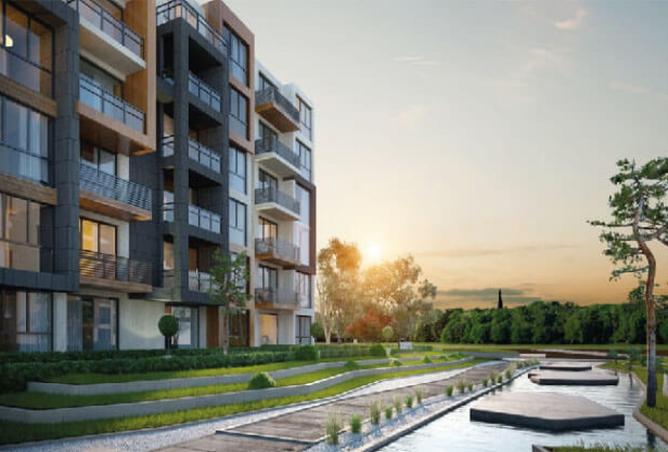 8239772 - Property Image 3