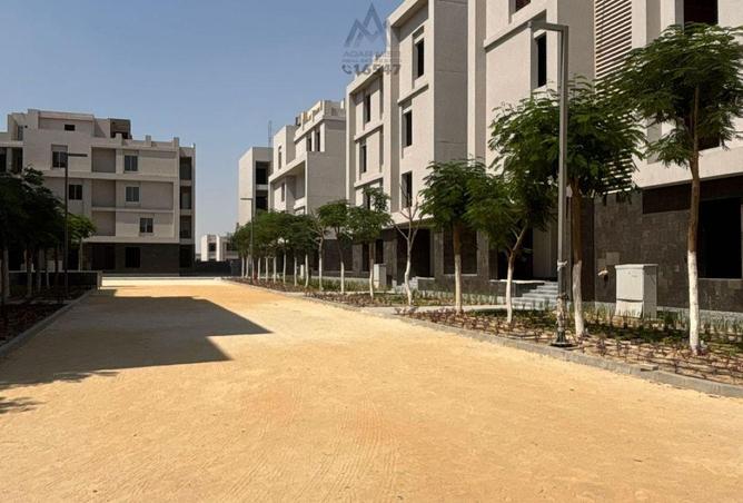 8037306 - Property Image 2
