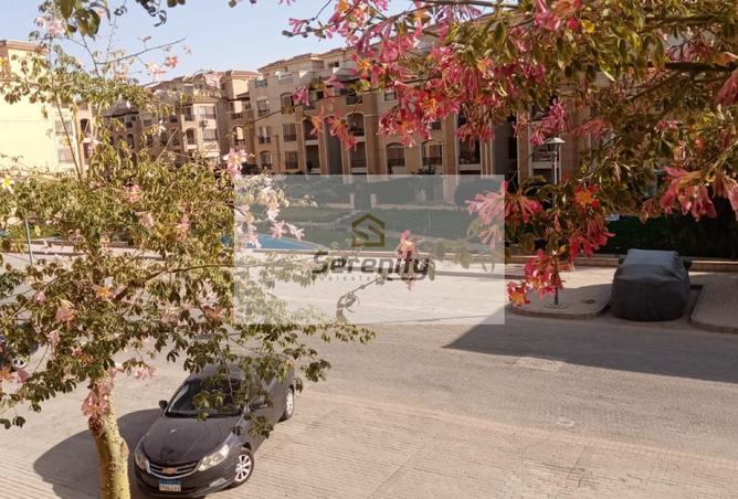 7393443 - Property Image 3