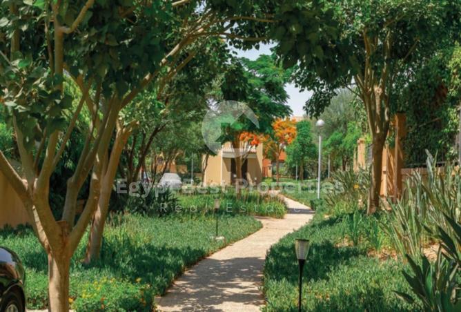 8197170 - Property Image 3