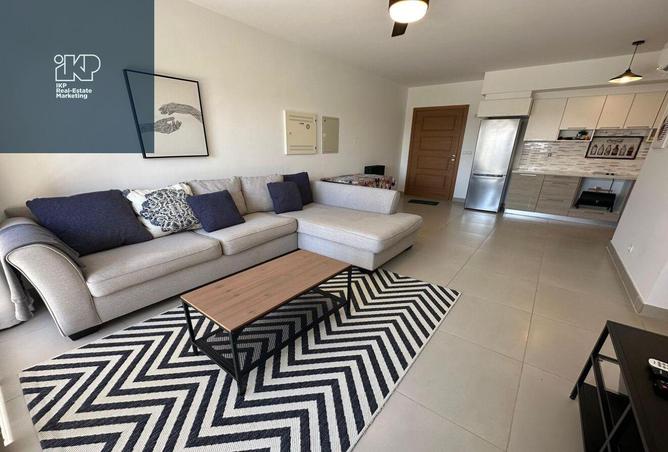 7769644 - Property Image 3