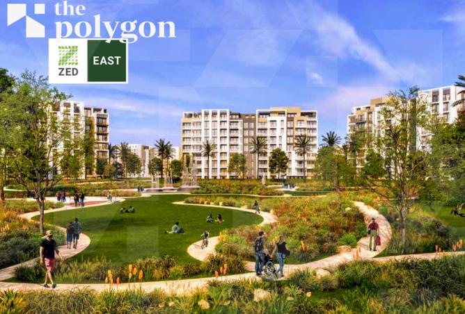 8193527 - Property Image 3