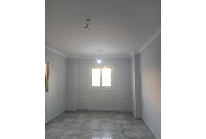 8172740 - الصورة الرئيسية للعقار