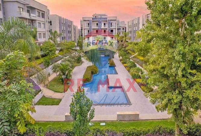 8217585 - Property Image 2