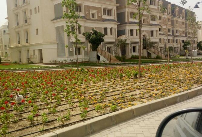 8437438 - Property Image 3