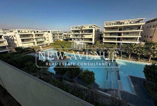 8236273 - Property Image 2