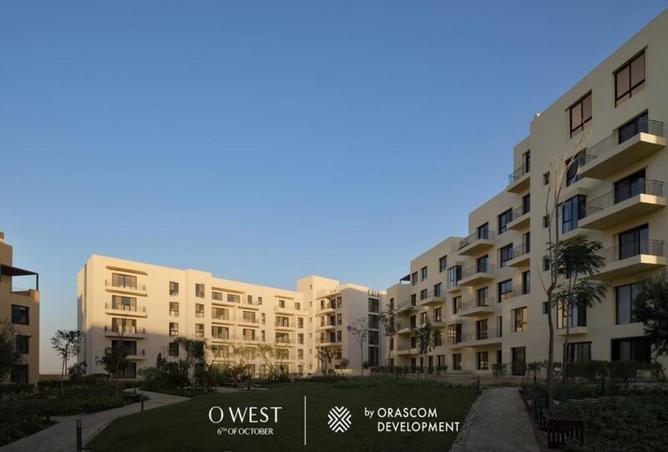 7999866 - Property Image 3