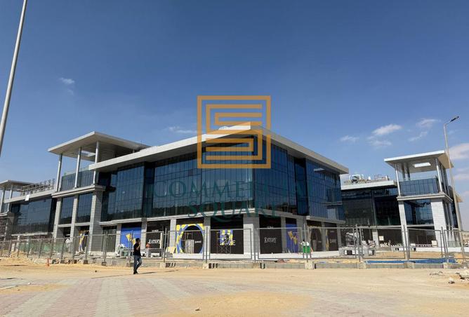 8293494 - صورة العقار 3