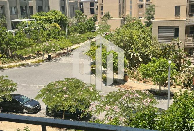 8103205 - Property Image 2