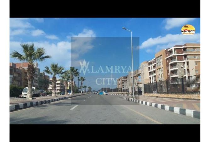 8162904 - Property Image 3