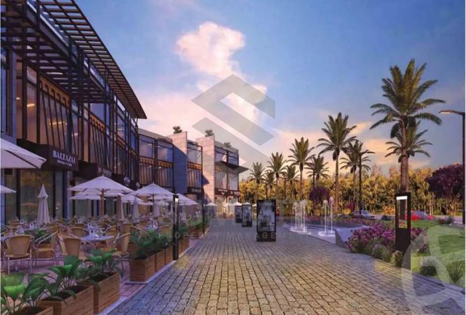 8037460 - Property Image 3
