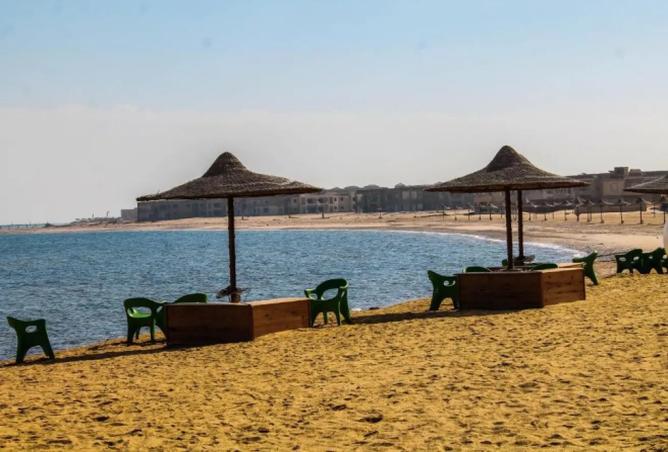 8045001 - صورة العقار 2