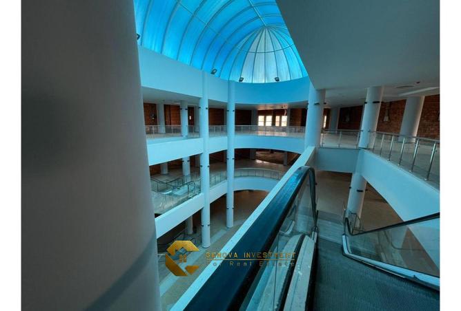 8046859 - Property Image 3