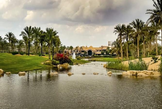 7993384 - صورة العقار 2