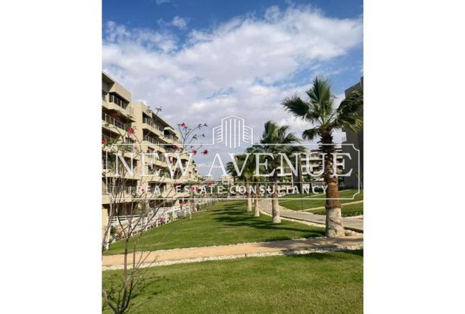 8223971 - Property Image 3