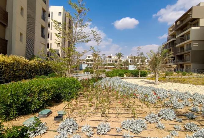 8049427 - صورة العقار 2