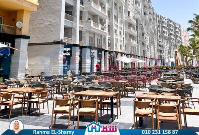 8151607 - صورة العقار 2