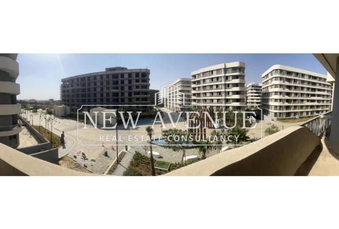 8138495 - Property Image 2