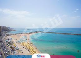 شقة - 3 غرف نوم - 3 حمامات for للبيع in طريق الجيش - سيدي بشر - حي اول المنتزة - الاسكندرية شقة - 3 غرف نوم - 3 حمامات for للبيع in طريق الجيش - سيدي بشر - حي اول المنتزة - الاسكندرية