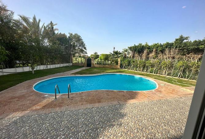 7912025 - Property Image 3