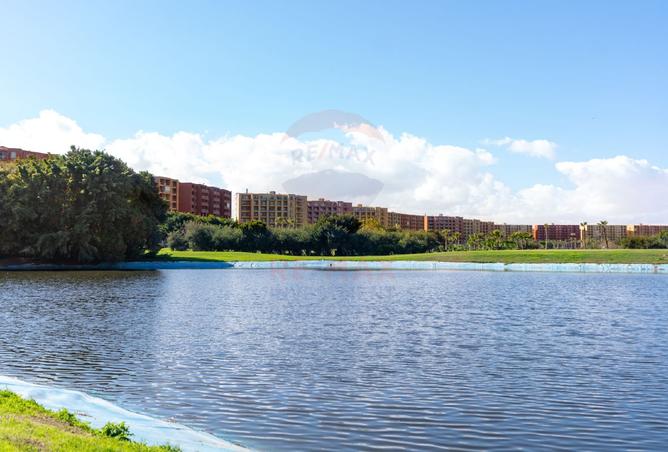 8061867 - صورة العقار 2