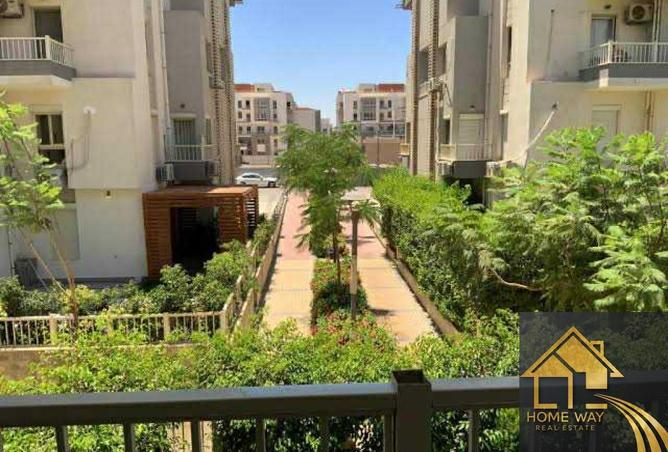 8006677 - Property Image 3