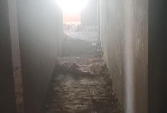 8459662 - صورة العقار 3