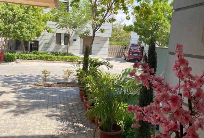 8158904 - صورة العقار 2