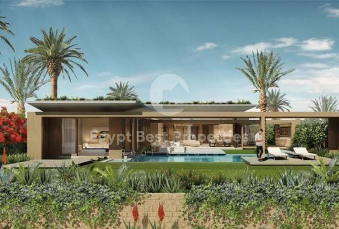 7992972 - Property Image 3