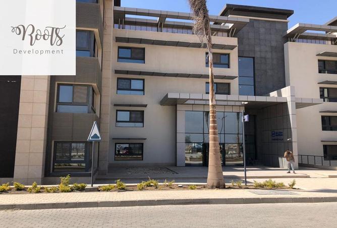 8380092 - Property Image 3