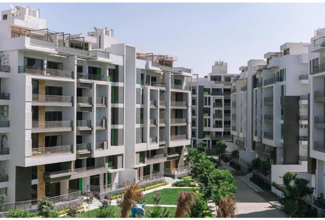 8202147 - صورة العقار 3