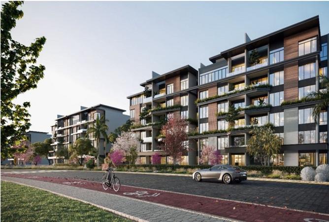 8108433 - Property Image 2