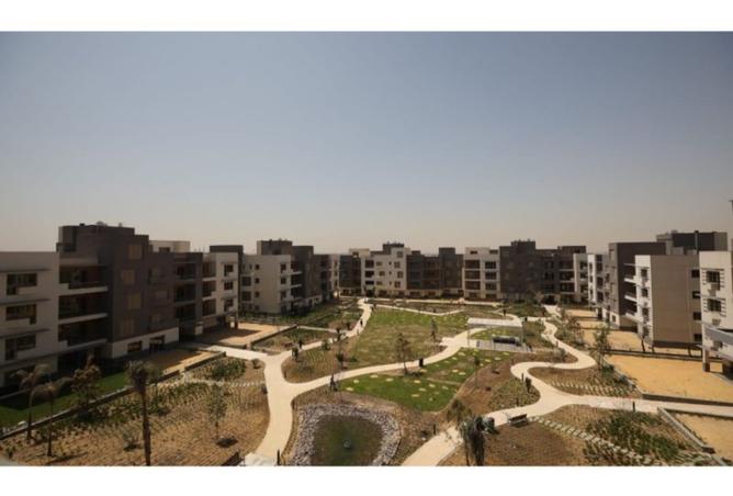 8386801 - صورة العقار 3