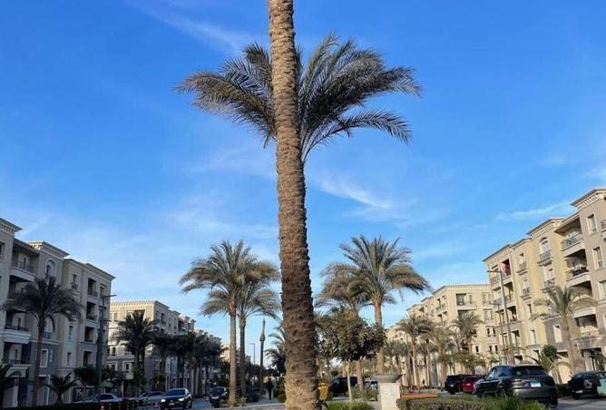 8180930 - Property Image 3