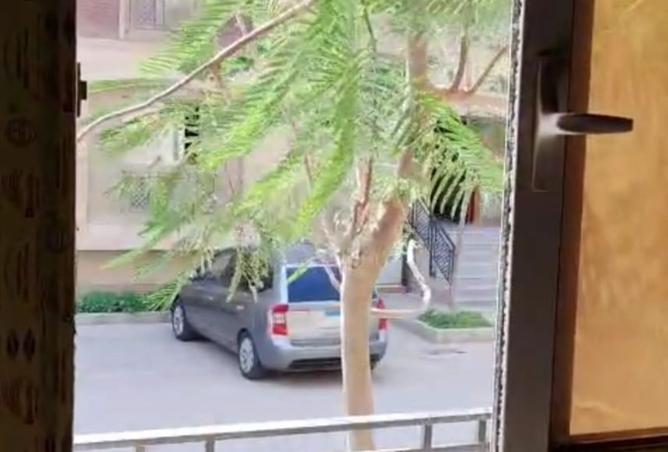 8009602 - صورة العقار 3