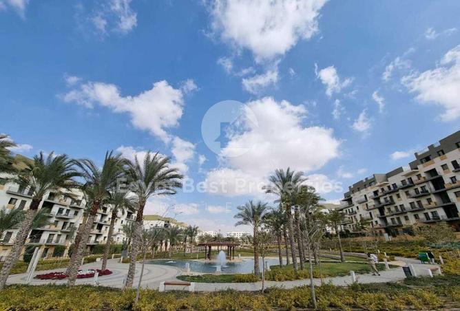 8425706 - Property Image 3