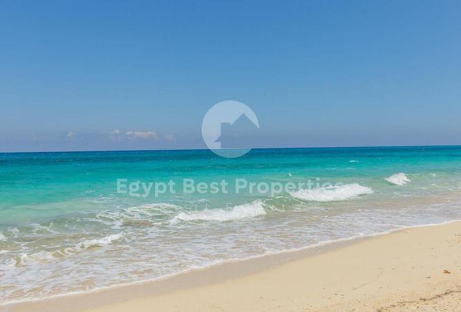 8034759 - صورة العقار 3