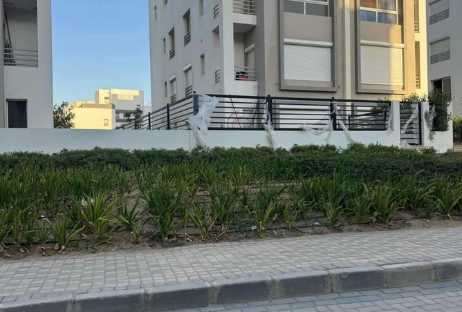 8417464 - صورة العقار 2