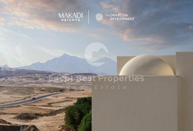 8238768 - Property Image 3