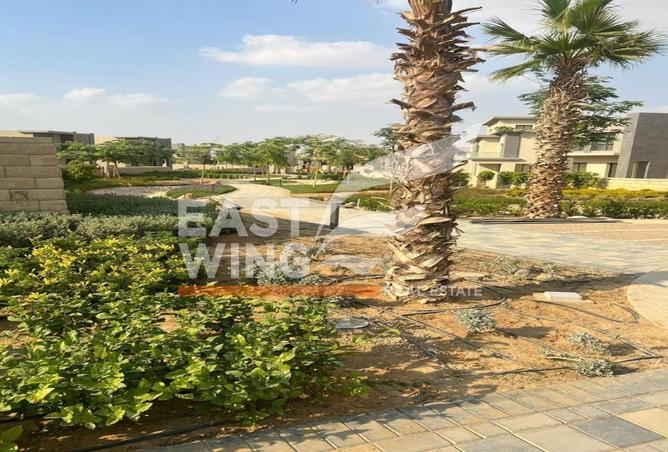 7977575 - Property Image 3