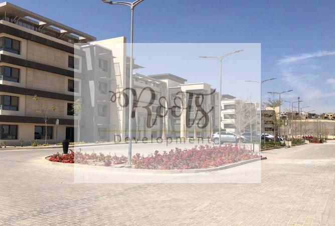 7941658 - Property Image 2
